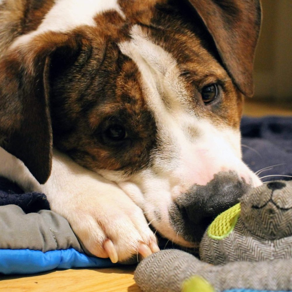 Meet your Posher, KA